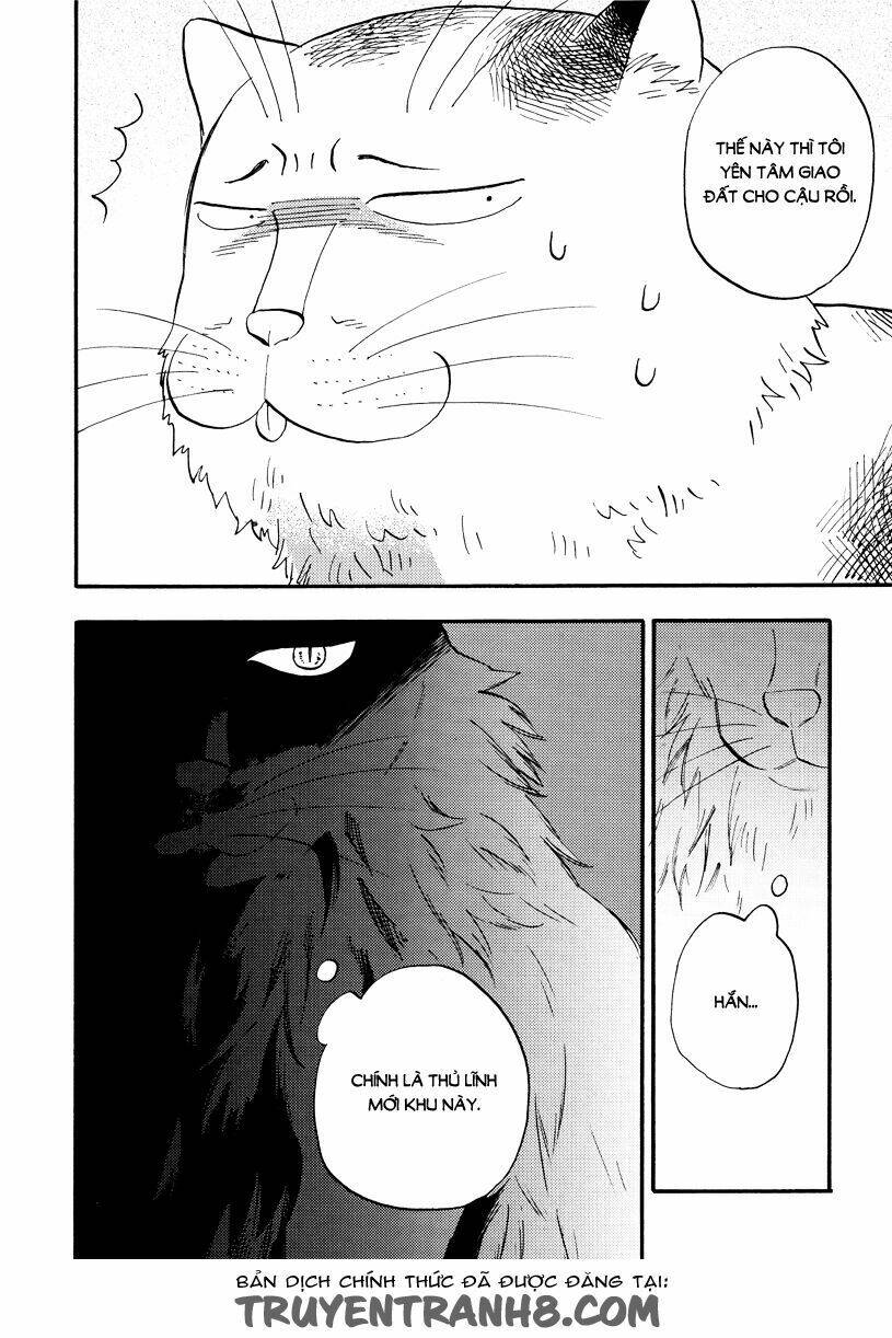 tui là busamen! chapter 4 17