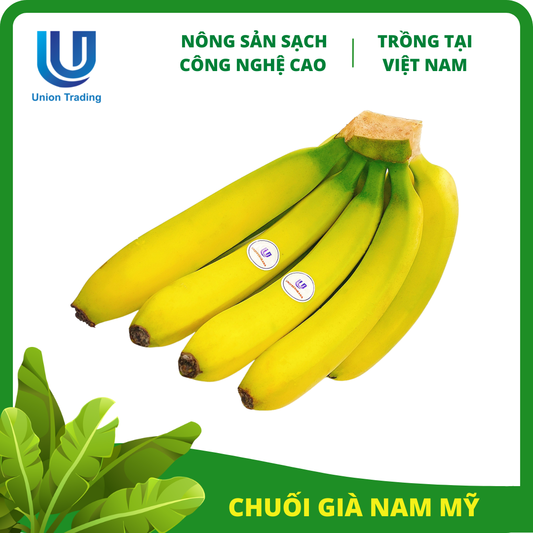 Nải chuối xanh 658TC  Hoa vải đẹp MAI
