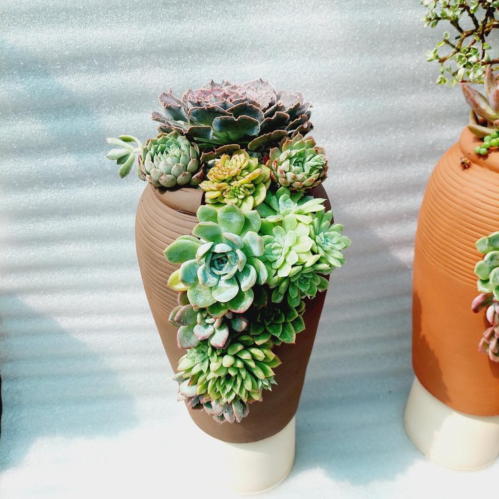 Chậu đất nung Bình Dương - Bình mới cắt vân mây, miệng chậu 13cm, chiều cao 30cm