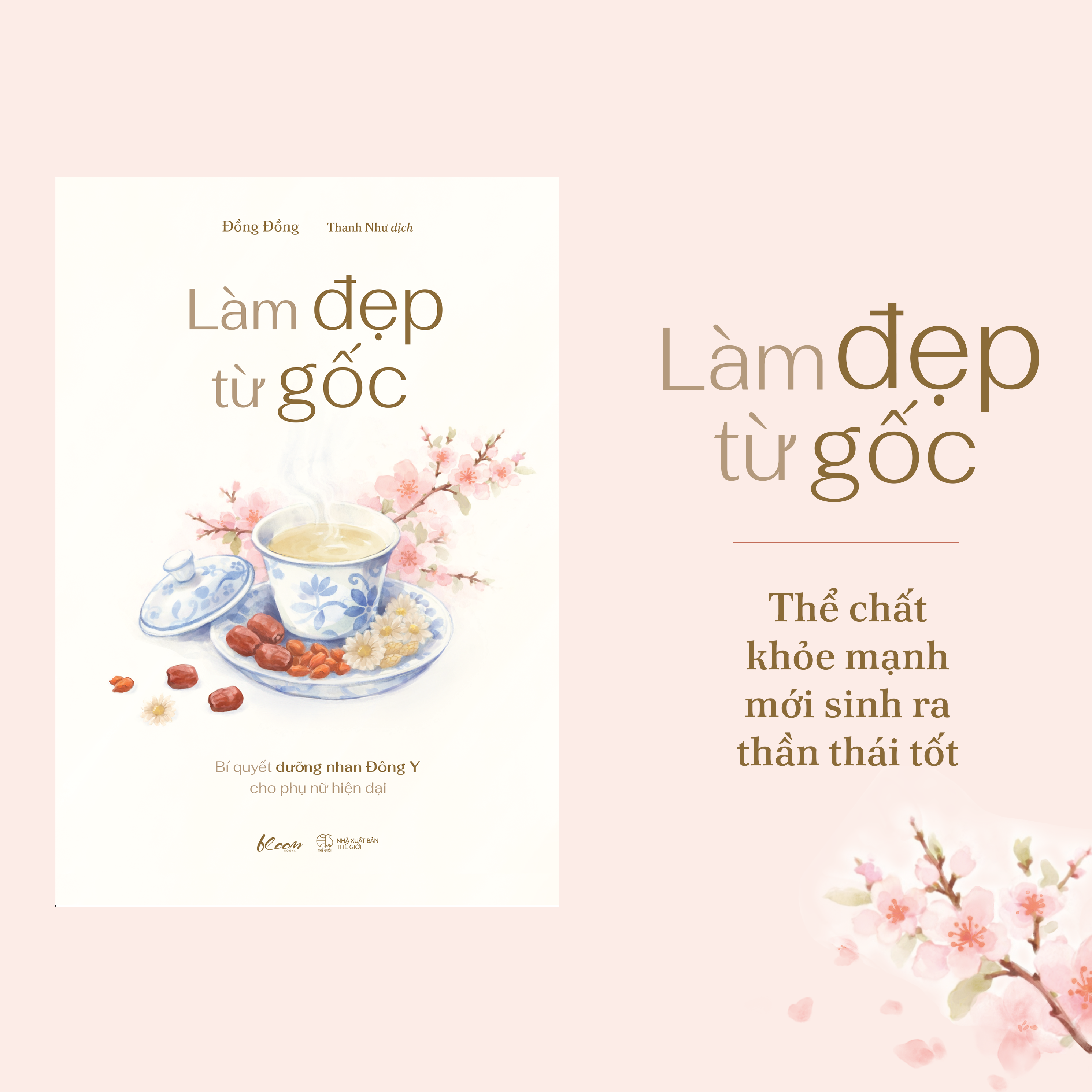 Sách - Làm Đẹp Từ Gốc - Bí Quyết Dưỡng Nhan Đông Y Cho Phụ Nữ Hiện Đại
