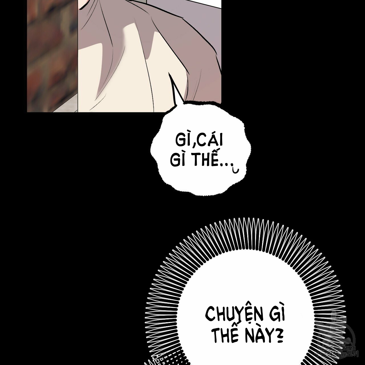 những chú thỏ của hapypy chapter 45 48