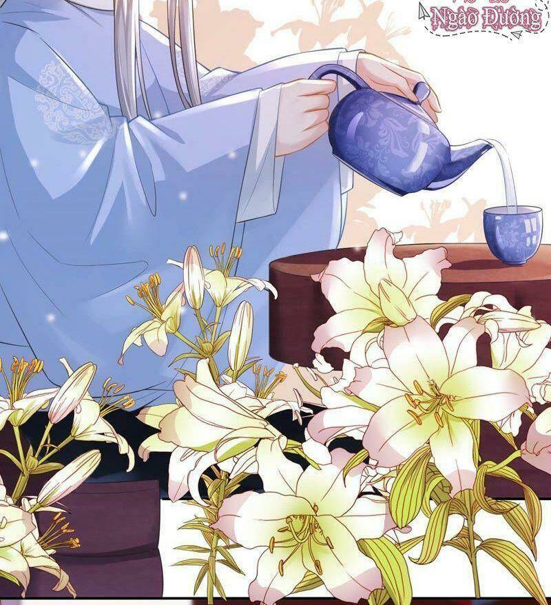 quận chúa vững vàng, thiết lập nhân vật không thể vỡ chapter 12 36