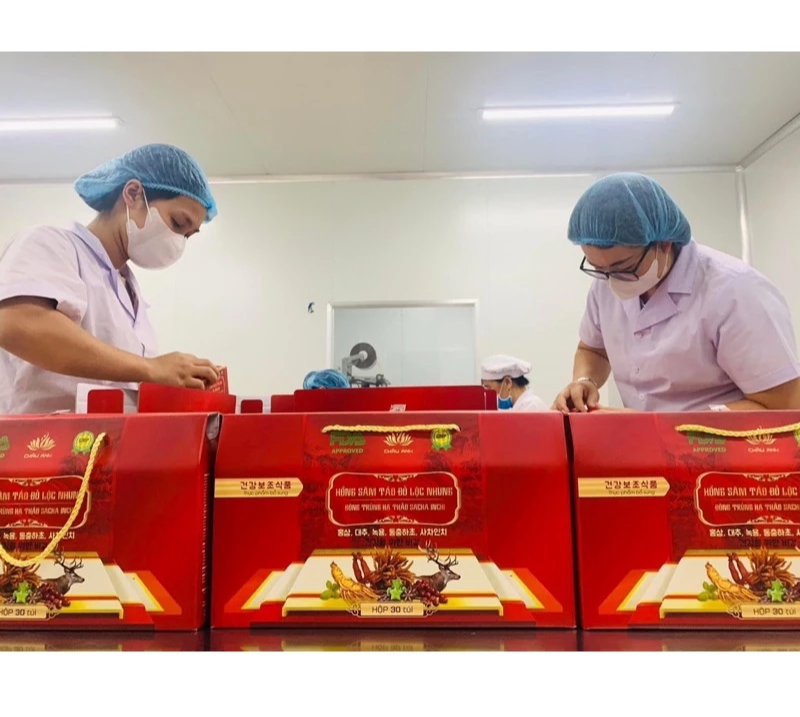XÁCH HỒNG SÂM TÁO ĐỎ LỘC NHUNG ĐÔNG TRÙNG HẠ THẢO SACHA INCHI