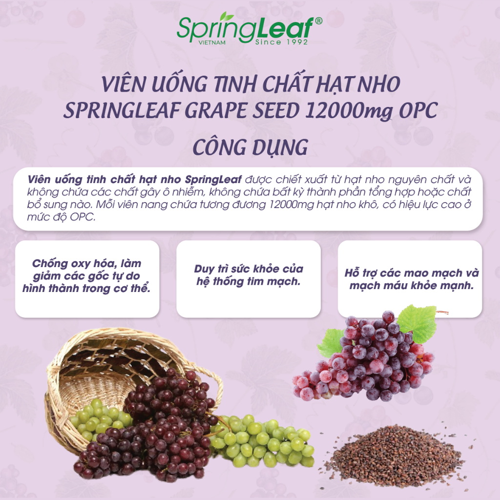 Duy trì sức khỏe tim mạch và các mao mạch Viên uống tinh chất hạt nho SpringLeaf Grape Seed 12000mg OPC 180 viên