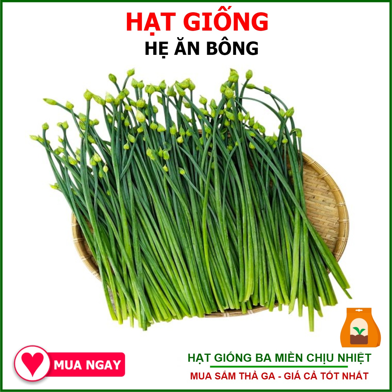 Gói 2gram Hạt Giống Hẹ Bông, Hẹ Ăn Bông Nguyên Bao Bì - Hạt Giống Ba Miền Chịu Nhiệt