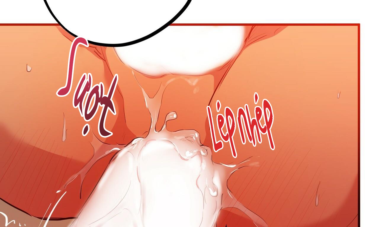 đàn thỏ của habibi chapter 25 196