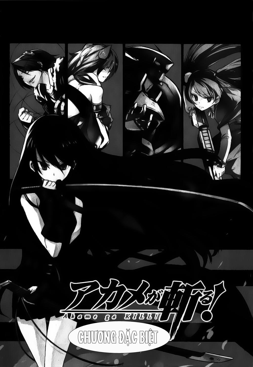 akame ga kiru! chapter 27.5 6