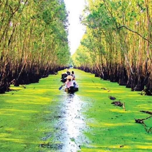 Tour Châu Đốc 1N1Đ - Chùa Bà Núi Sam - Núi Cấm - Rừng Tràm - Lăng Thoại Ngọc Hầu - Chùa Hang - Chùa Phật Nằm - Chợ Cửa Khẩu Tịnh Biên.