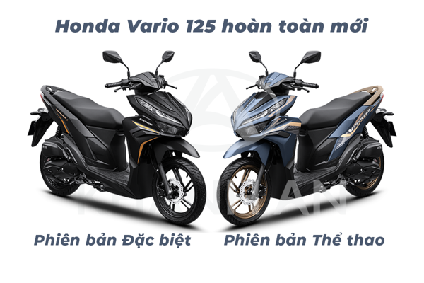 vario125_moi3_b7ad5bd149d54d4981e9d66c51f92486_grande.png