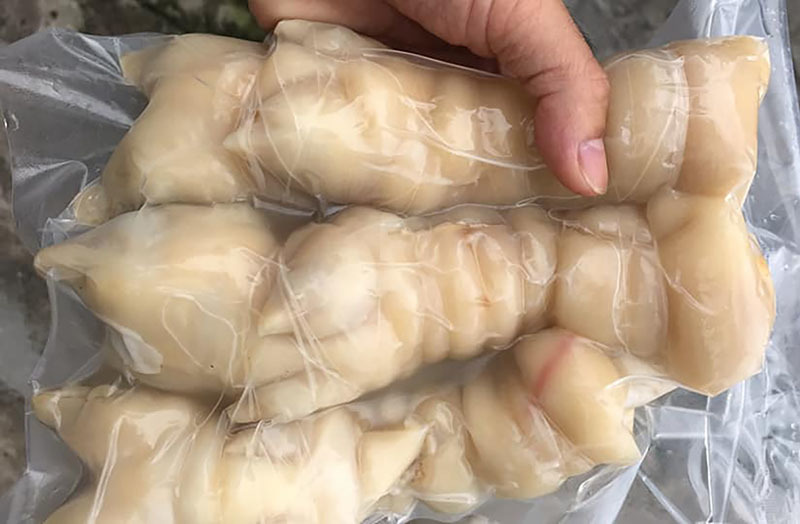 1KG - TÚI HÚT CHÂN KHÔNG PA/PE CHÂN GIÒ RÚT XƯƠNG