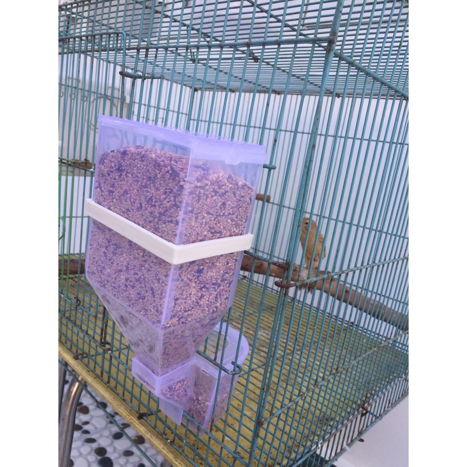 Máng ăn tự động giá từ xưởng cho chim , gà, bồ câu, vẹt, cu gáy, yến phụng