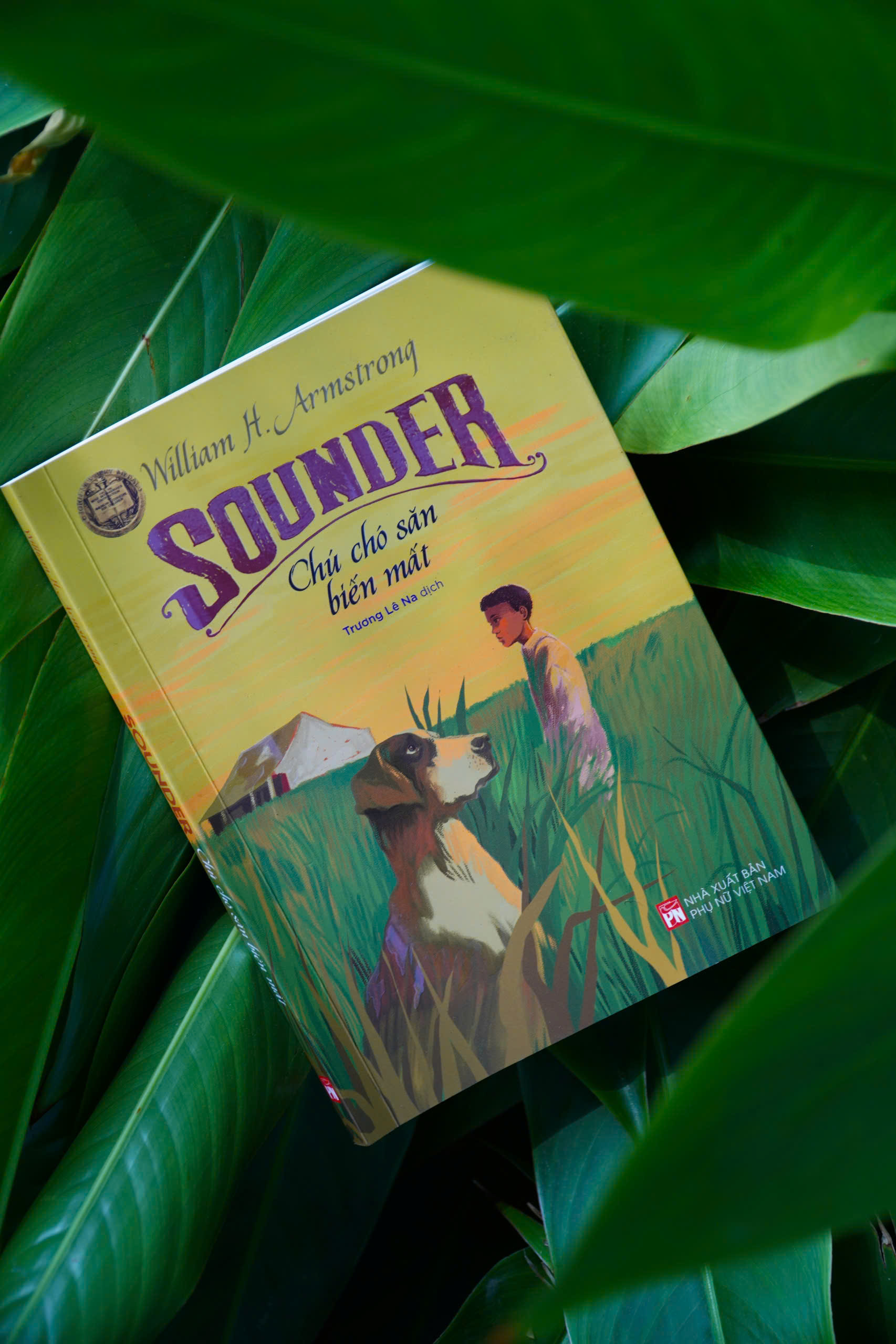 SOUNDER – Chú Chó Săn Biến Mất