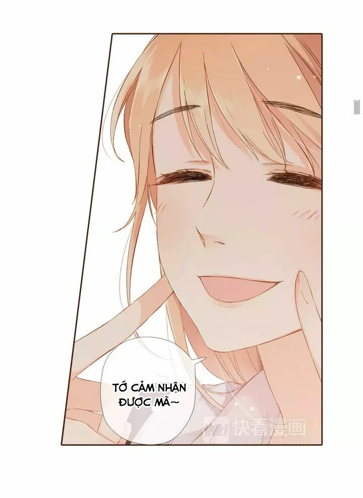 Tình yêu là màu hoa anh thảo chapter 32.1 7