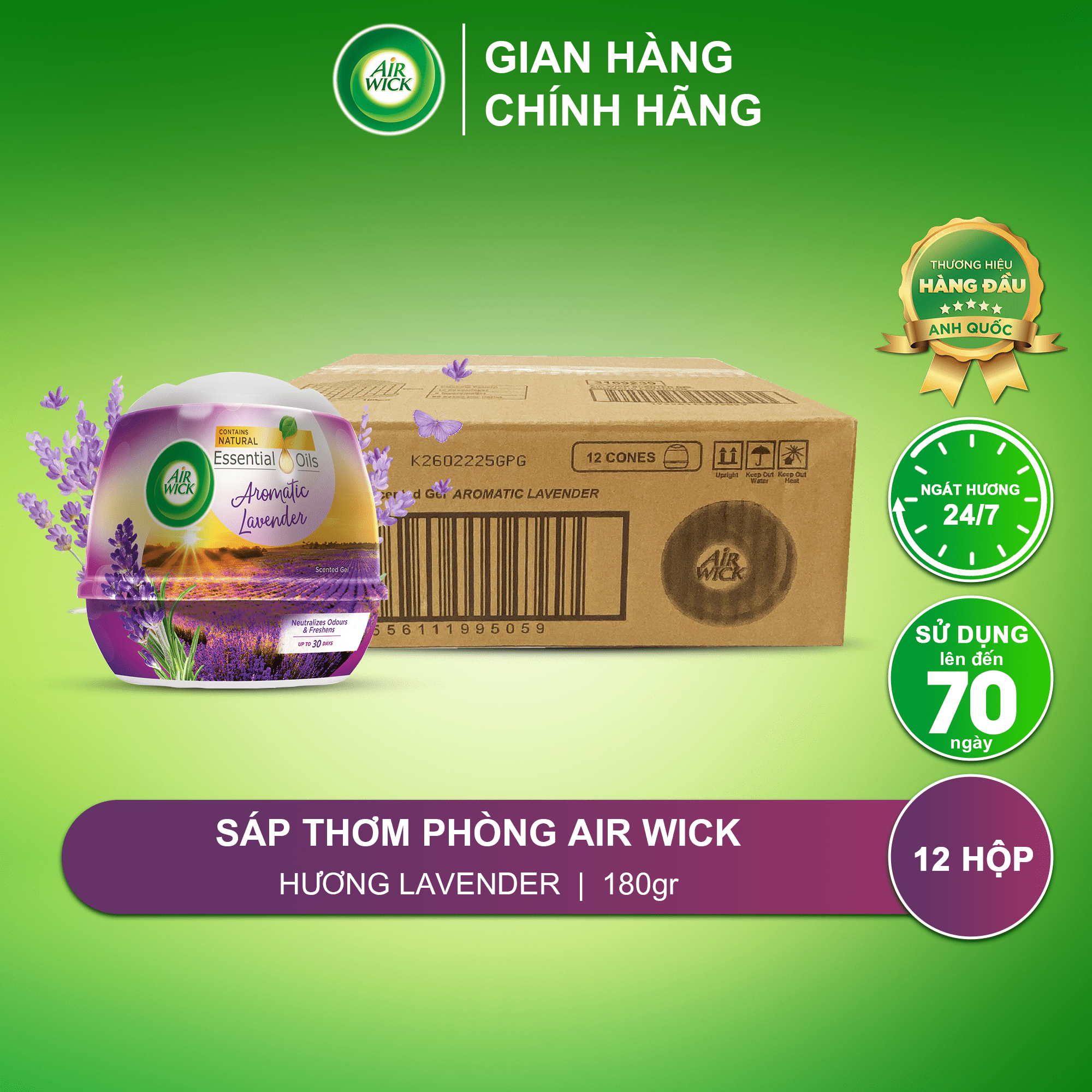 Thùng Sáp Thơm Phòng AIRWICK - 12 Hộp Hương Lavender, Anh Quốc, Hương Thơm Nhẹ Nhàng Phù Hợp Mọi Không Gian(180g)