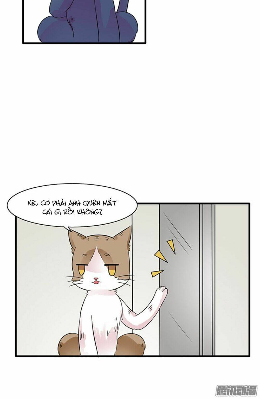 hai chú mèo totem chapter 11 11