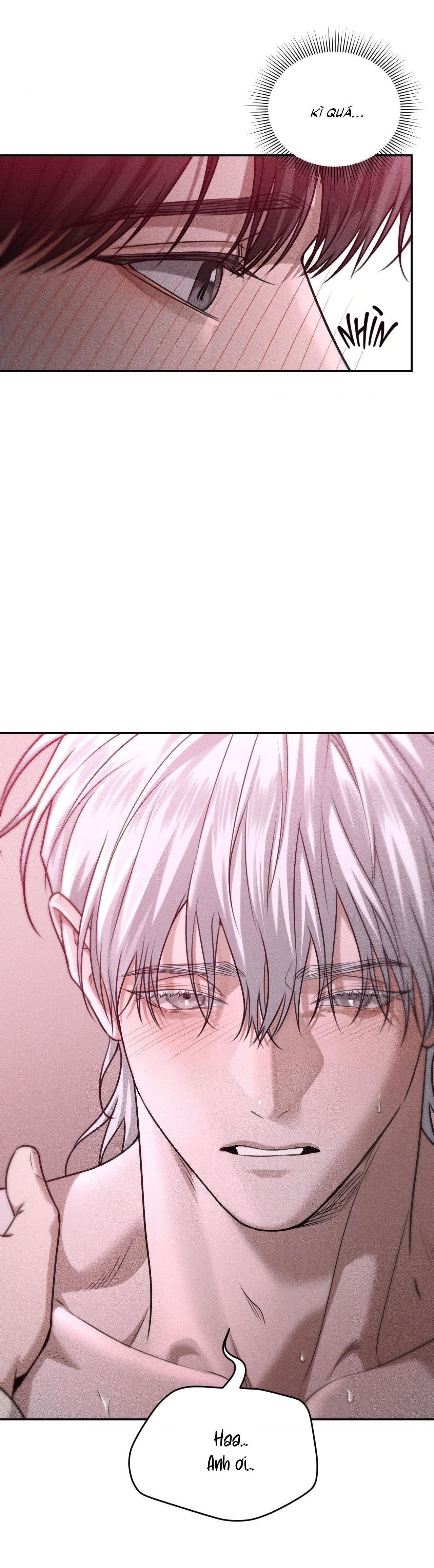 gấu teddy thân yêu chapter 36 11