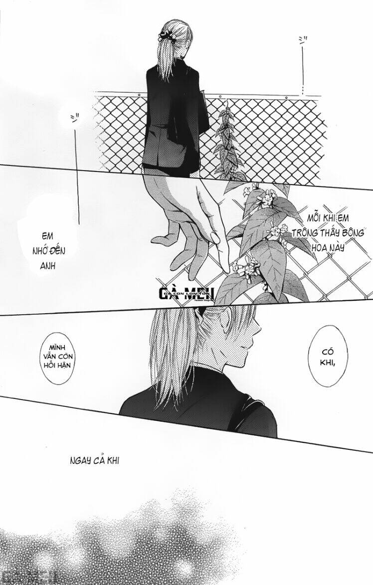 shokubutsu zukan chapter 1 40