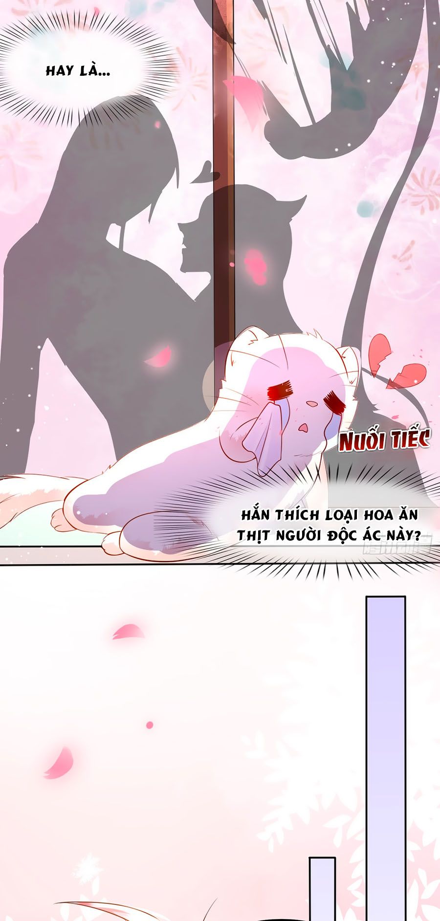 Dưỡng Thú Vi Phi chapter 2 - Trang 6