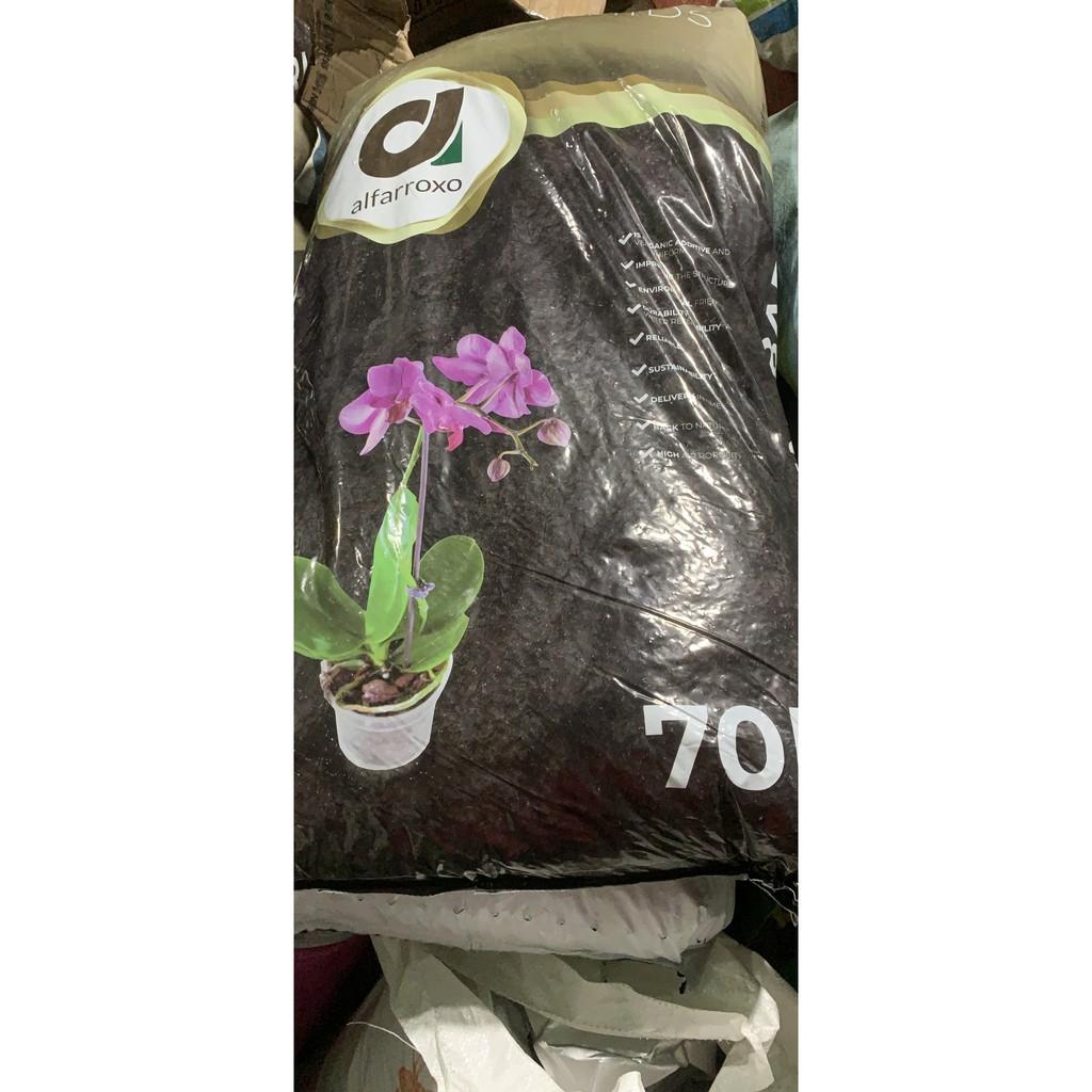Vỏ thông Alfarroxo bao 70 lít nặng khoản 15kg size 6-9mm nhập khẩu Bồ Đào Nha