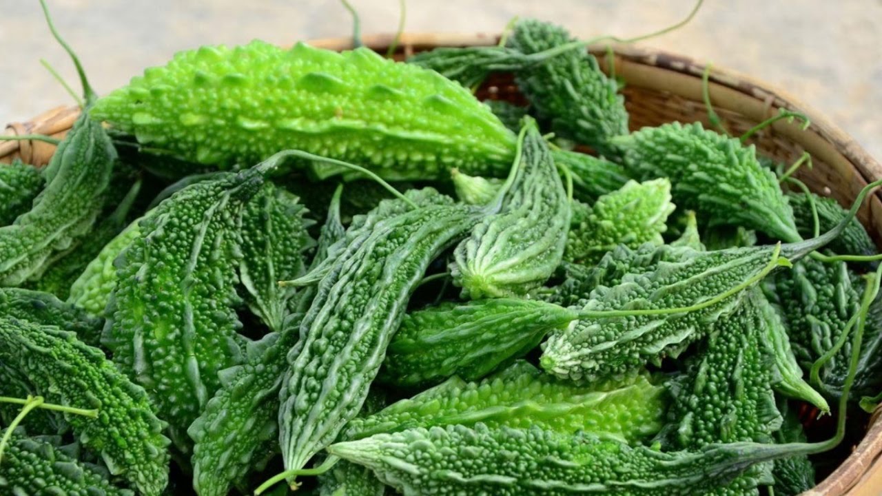 10 hạt giống khổ qua trái xanh