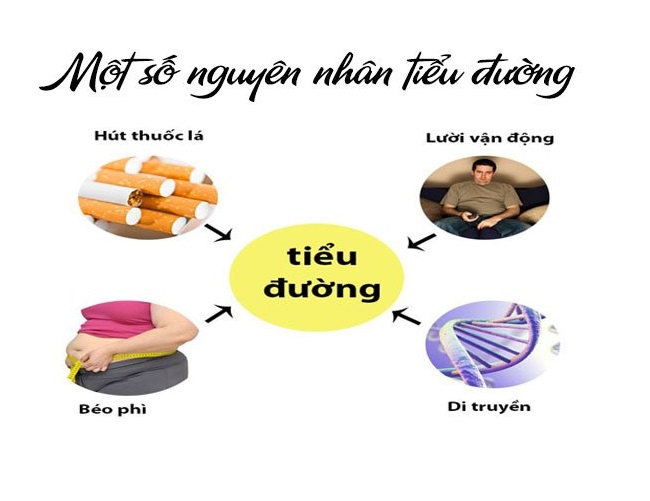 Viên An Đường TPN thành phần chính Dây Thìa Canh, Giảo Cổ Lam hỗ trợ ổn định đường huyết ngăn ngừa các biến chứng tiểu đường.