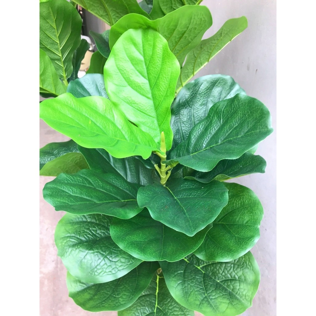 Cây bàng Đài Loan giả - Size 170cm - 3 nhánh - Cây giả, hoa lụa Decor trang trí nhà cửa
