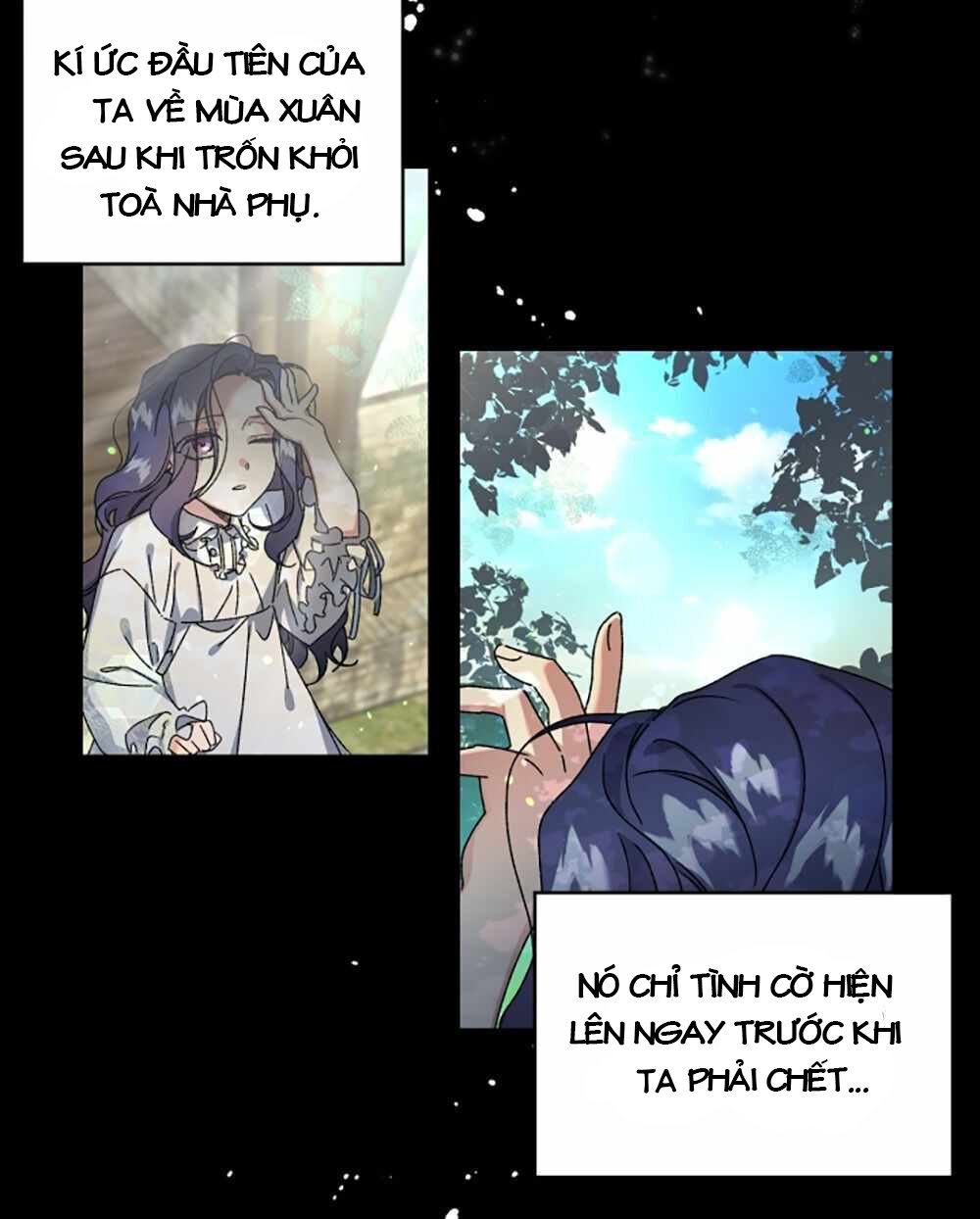 công chúa hiến tế – cấm reup truyện chapter 2 17