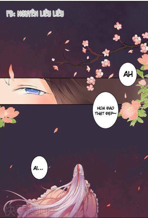 đốt đào hoa chapter 1 19