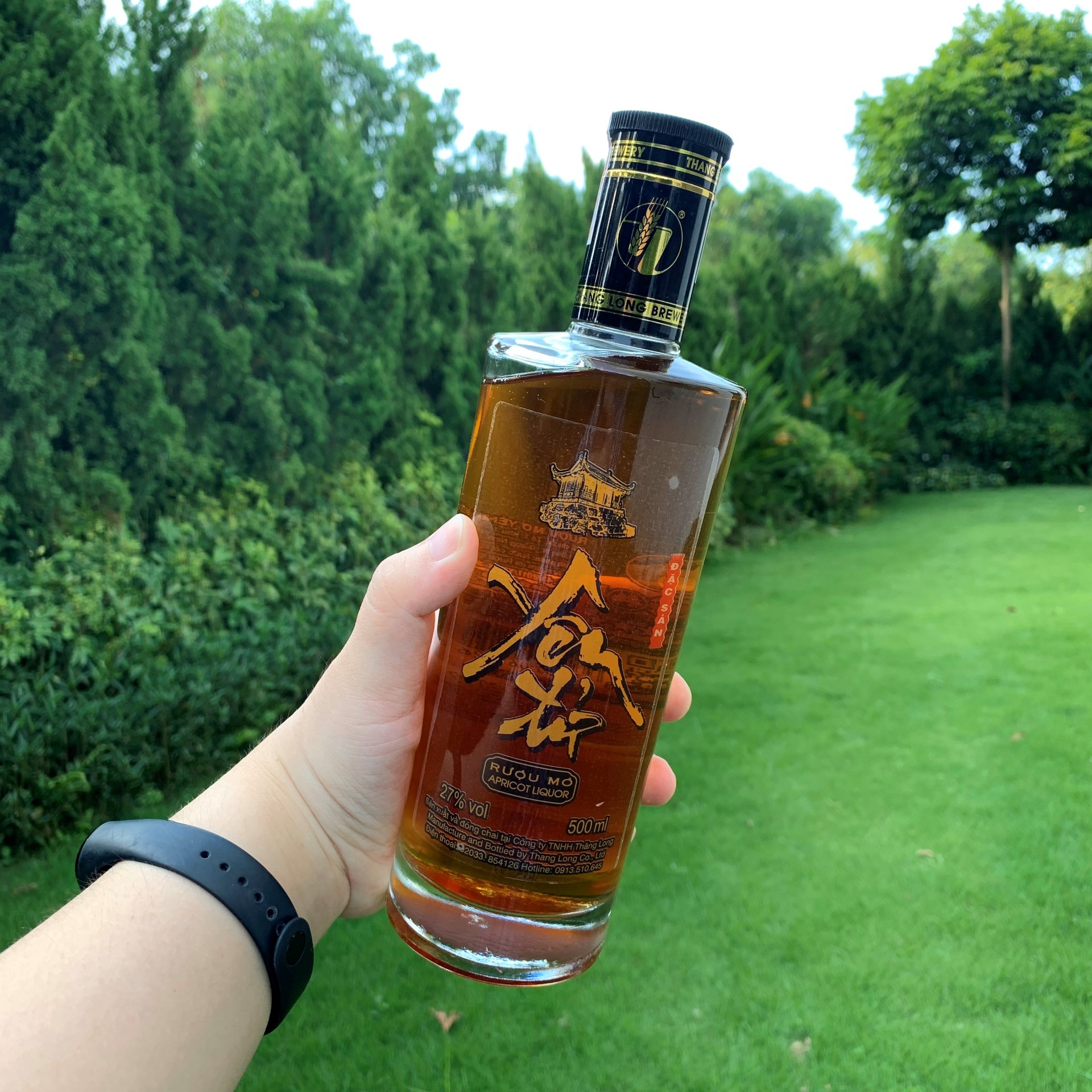 Thùng Rượu Mơ Yên Tử 27% Vol - 12 Chai Thủy Tinh 500ml