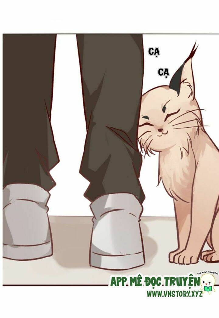 hồ tiên này không tin được chapter 7 22