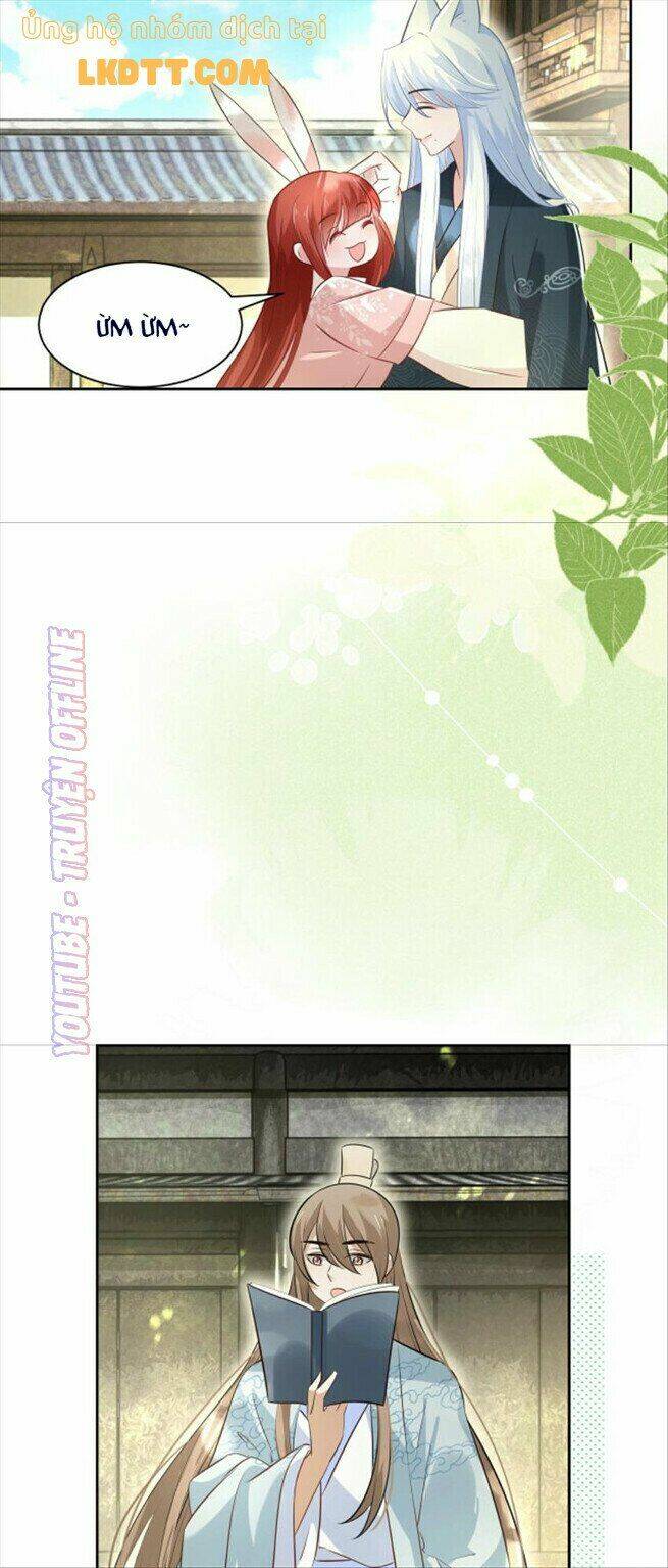 hắc hóa nam chính trực tuyến nuôi thỏ chapter 36 27