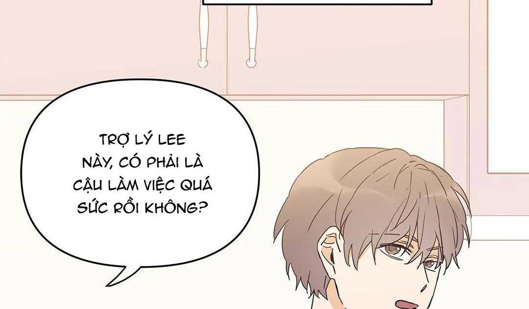 guide cấp b chapter 15 2