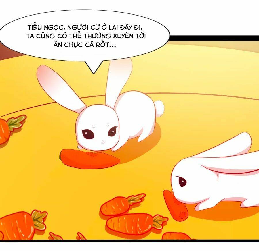 thỏ yêu tiểu vương phi chapter 50 4