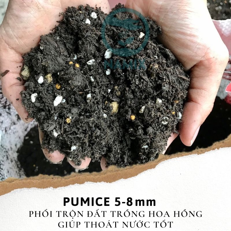Đá Pumice size 5-8mm - dùng lót chậu, rải bề mặt sen đá, xương rồng, bonsai trồng cây, lọc nước bể thủy sinh, ủ phân, cải tạo đất