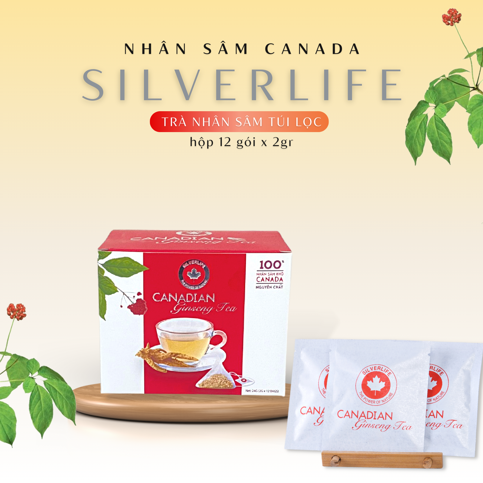 Trà nhân sâm Canada SilverLife hộp 12 gói 24g - 100% nhân sâm Canada tự nhiên nguyên chất - Giúp giải nhiệt, tăng cường sức khoẻ