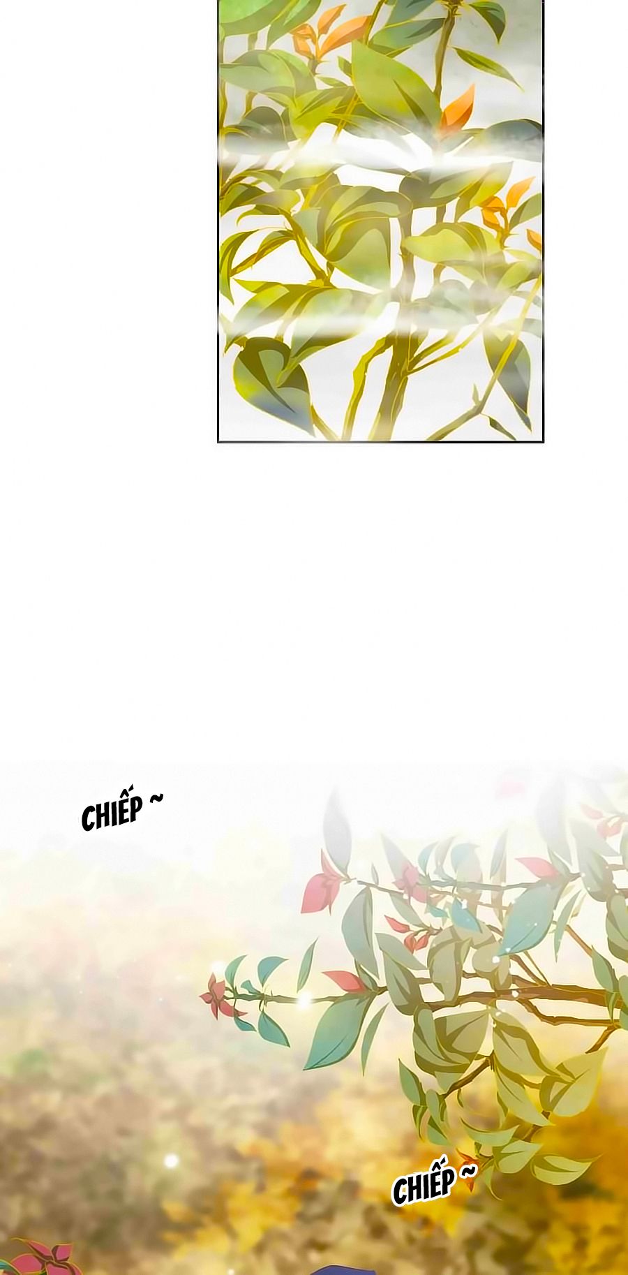 Tưởng Nhập Phi Phi chapter 52 - Trang 22