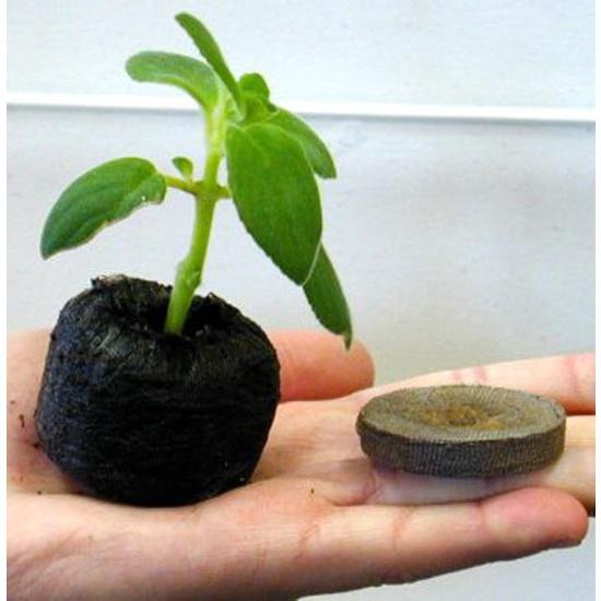 100 viên nén ươm hạt giâm cành - viên nén xơ dừa ươm hạt