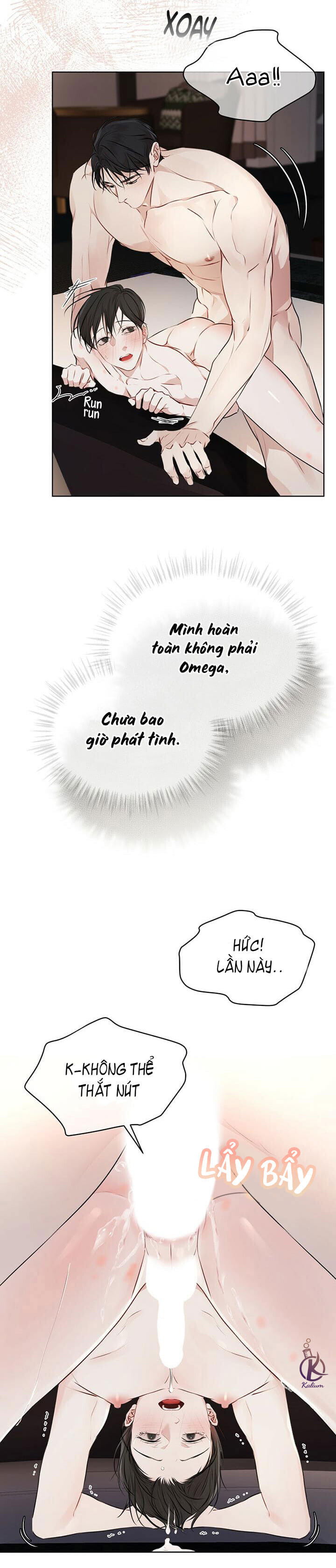 hình thái khởi sinh chapter 28 27