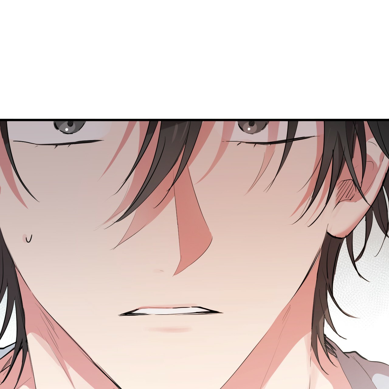 những chú thỏ của hapypy chapter 17 137