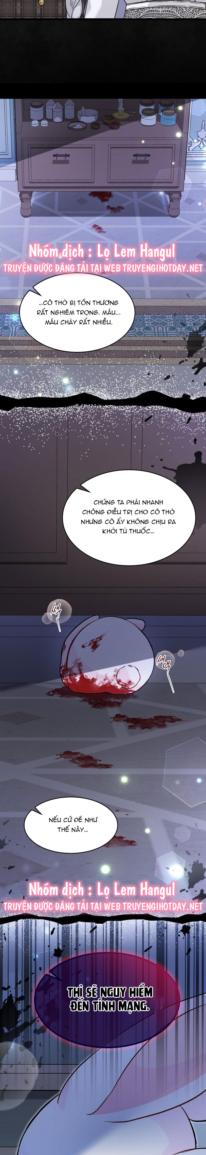 mối liên kết giữa báo đen và bé thỏ chapter 116 25