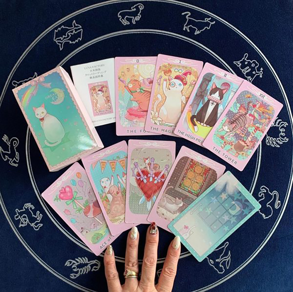 Bộ Bài Dreaming Cat Tarot 78 Lá Bài Lời Khuyên Của Các Boss