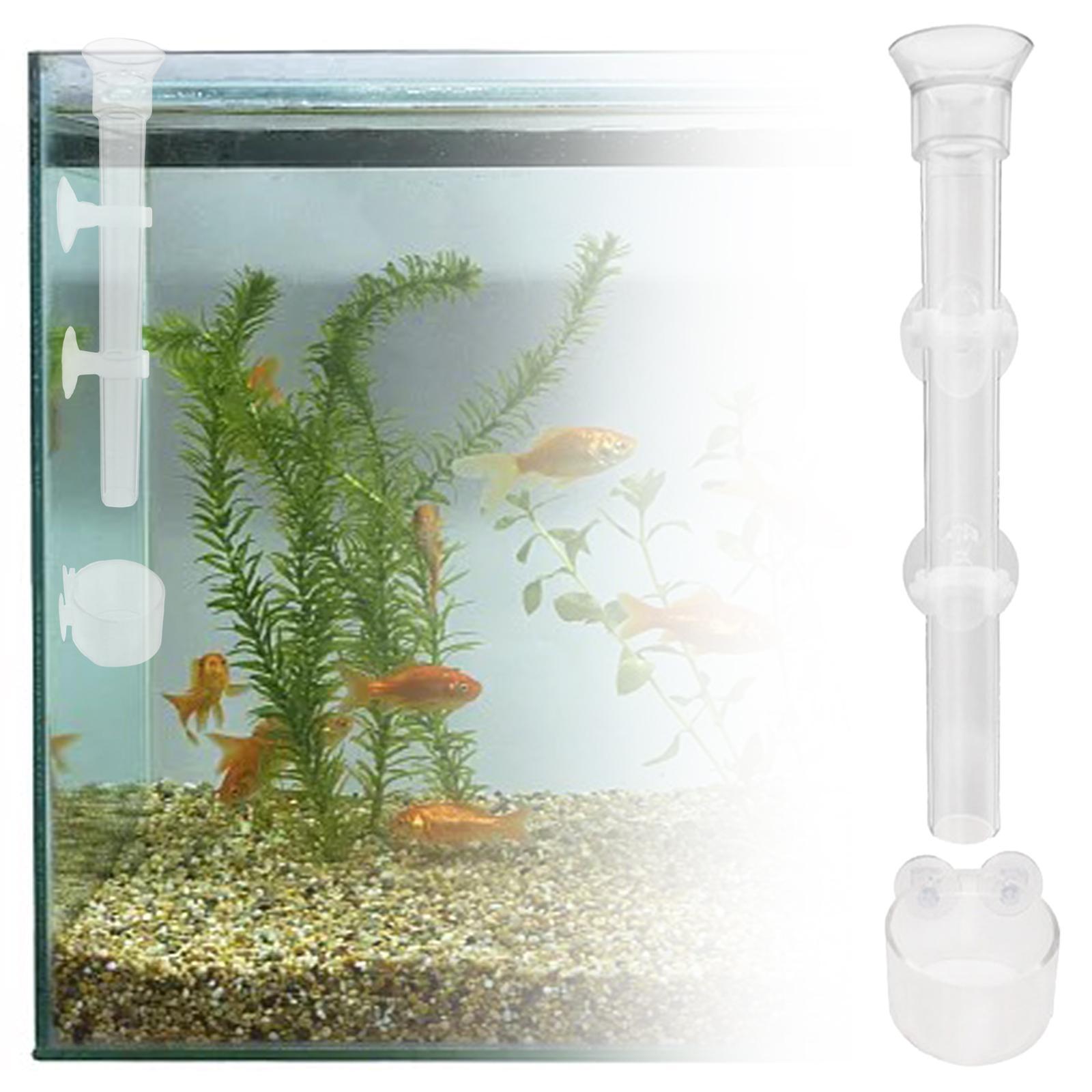Clear Shrimp Feeder Fish Food Dish Container for Fish Tank