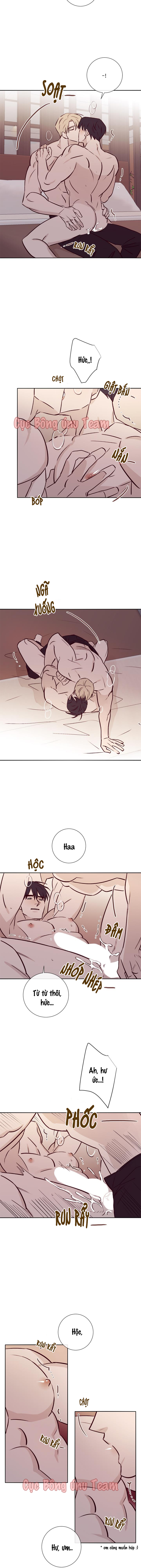 độc dược (marcel) chapter 17 4