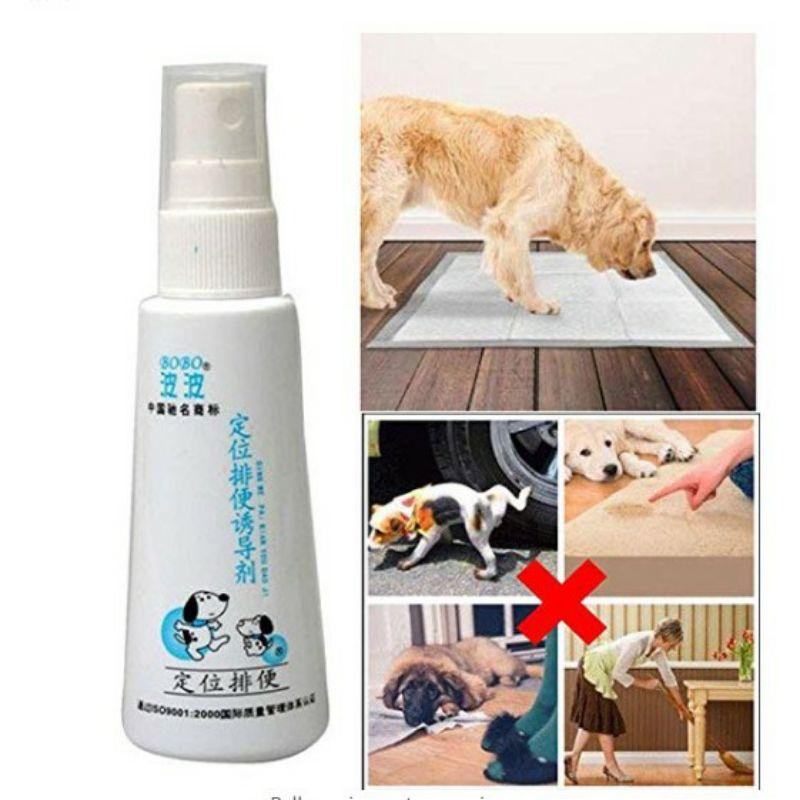 Xịt hướng dẫn đi vệ sinh đúng chỗ bobo