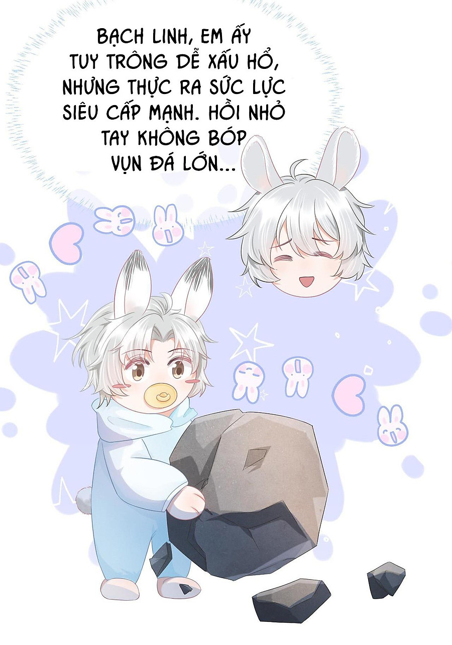 [ss2] một ngụm ăn cả thỏ con chapter 0 64