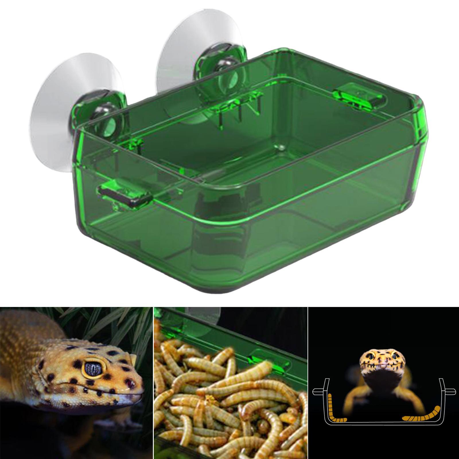 Suction Cup Reptile Feeder Dish Water Food Bowl Basin for Chameleon