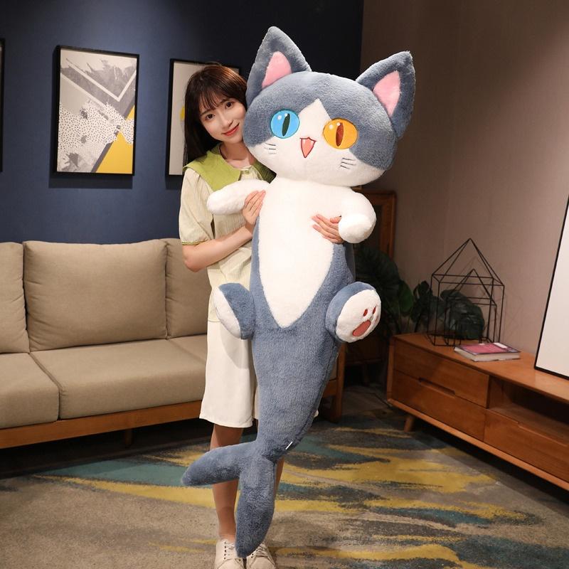 Gấu ôm cá mập mặt mèo cute / Mèo cá mập đủ size, siêu mềm mịn