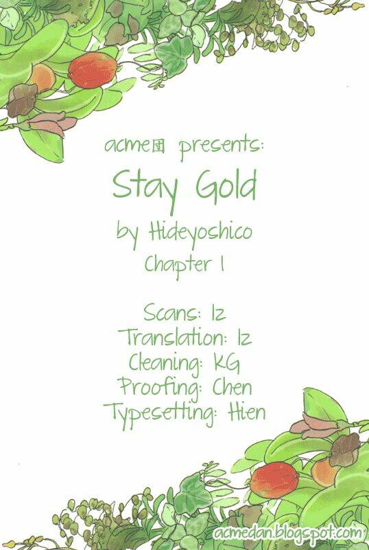 stay gold chapter 1 2