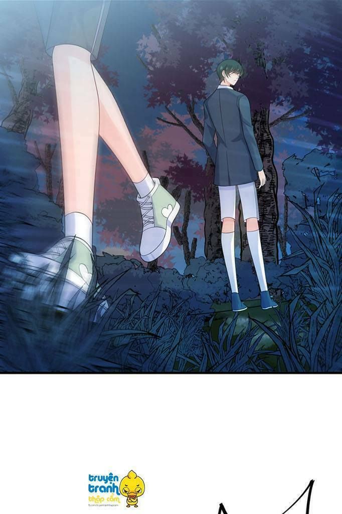 chọc tới chủ tịch tổng tài 2 chapter 66 6