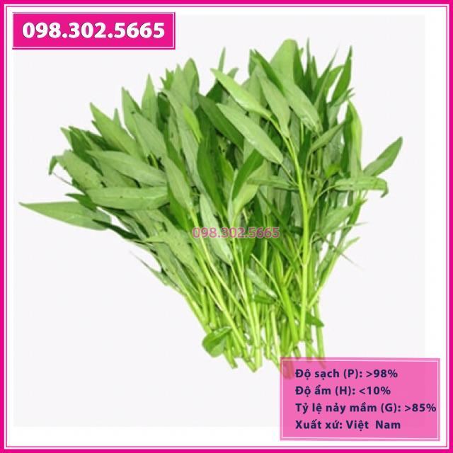 HẠT GIỐNG RAU MUỐNG LÁ TRE